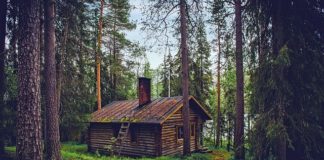 Idealnie zaprojektowany ogród