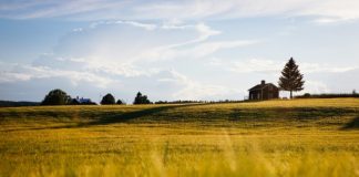 Mieszkanie jako nieruchomość