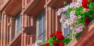 Zakup czy budowa domu?