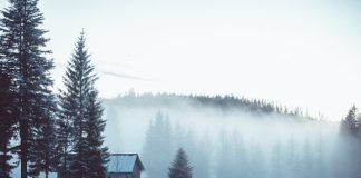 Umowa z pośrednikiem – na co zwrócić uwagę