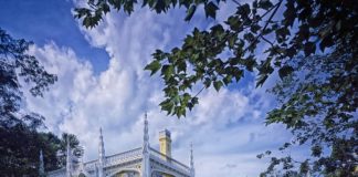 Architektura a studia