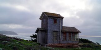 Budowa domów szkieletowych