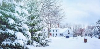 Gdzie wystawić ogłoszenie?