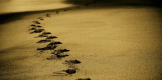 Bitwa pod Grunwaldem