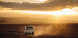 Ryzyko w lasach tropikalnych