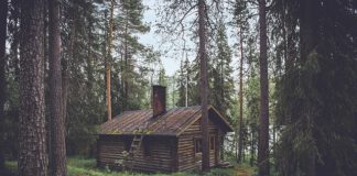 Chłodnictwo w służbie rozrywki