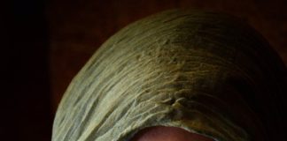 Kontrowersje związane z cyrkiem