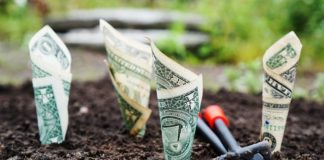 Inteligentne lokowanie pieniędzy