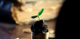 Zawiłości podatkowe