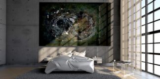 Firmy administrujące