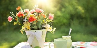 W jakim miejscu nabyć działkę?