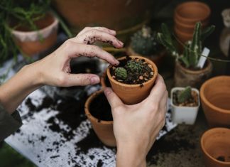 Pracownicze ogródki działkowe Pracownicze ogródki działkowe