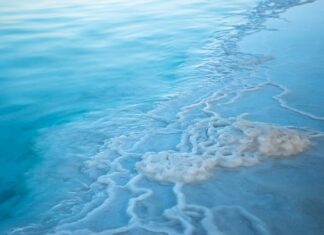 Jakie zasolenie wody w akwarium? Jakie zasolenie wody w akwarium?