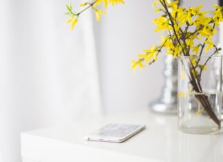 Jakie są plusy picia matchy?