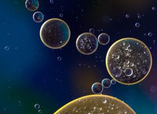 Ile oleju Giulietta 14? Ile oleju Giulietta 14?