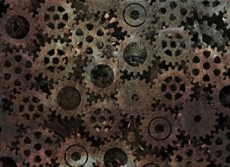 Po czym rozpoznać zepsute mięso?