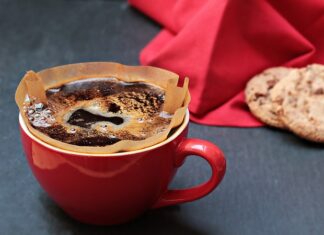 Gdzie umieścić filtr w akwarium?