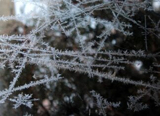 Czy można mrozić mięso w opakowaniu ze sklepu? Czy można mrozić mięso w opakowaniu ze sklepu?