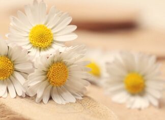 Ile PPM ma woda z kranu?