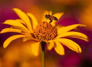 Ile promili ma Morze Martwe?