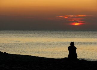 Czy małże z Bałtyku są jadalne?