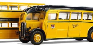 Jak transportować psa bez transportera?