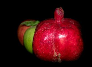 Czy w Auchan jest matcha?