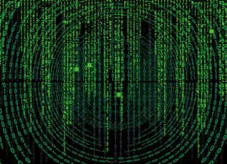 Jakie są nazwy skorupiaków? Jakie są nazwy skorupiaków?