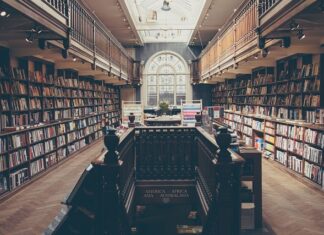 Jak rozwijać inteligencję psa?