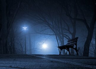 Czy polskie ślimaki są jadalne? Czy polskie ślimaki są jadalne?