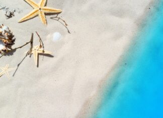 Czy małże z polskich jezior są jadalne?