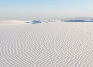 Ile człowiek ma Nm?