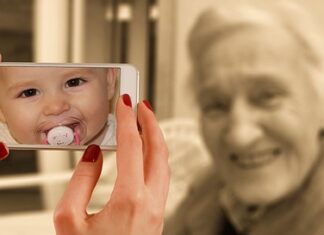 Jaka jest różnica między majerankiem a oregano?