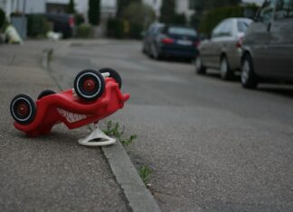 Jakich zabawek nie dawać psu?