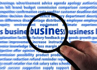 Gdzie zgłosić psa zamkniętego w samochodzie?