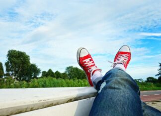 Kto ma trzy pary odnóży?