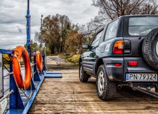 W czym przewozić psa?