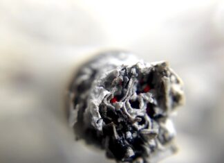 Jak przechowywać tytoń do shishy?