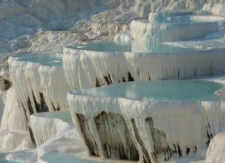 Jak obniżyć poziom wapnia w akwarium?