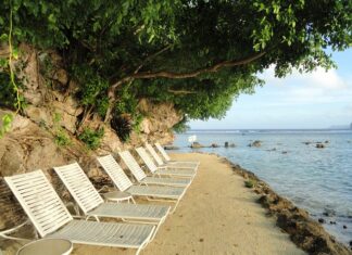 Czy w Polsce są salony Tesli? Czy w Polsce są salony Tesli?