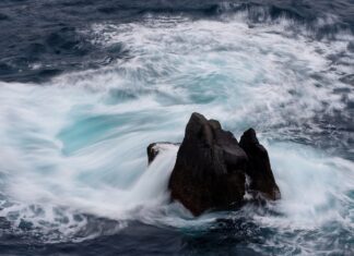 Jaka jest cena AdBlue w Niemczech?