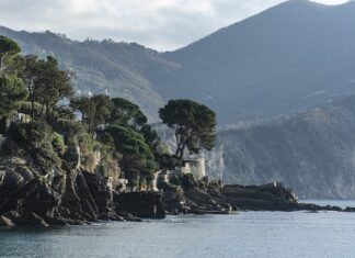 Ile kosztuje stacja ładowania do Tesli? Ile kosztuje stacja ładowania do Tesli?