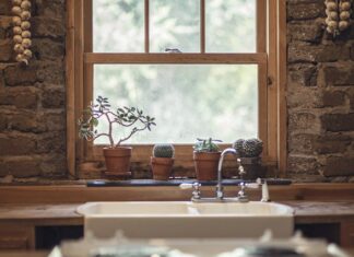 Czego nie sadzić obok czosnku? Czego nie sadzić obok czosnku?