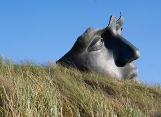 Co zrobić żeby uspokoić jelita?