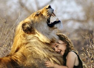 Jaka jest najlepsza przyprawa do kurczaka?