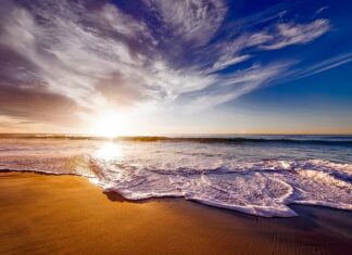 Co dać do picia krowie po wycieleniu?