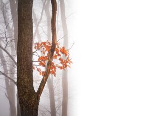 Czy po negatywnym przeglądzie mogę jechać na inną stację?