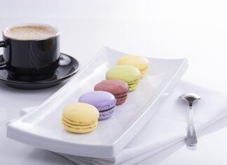 Jakie są cechy wspólne mięczaków?